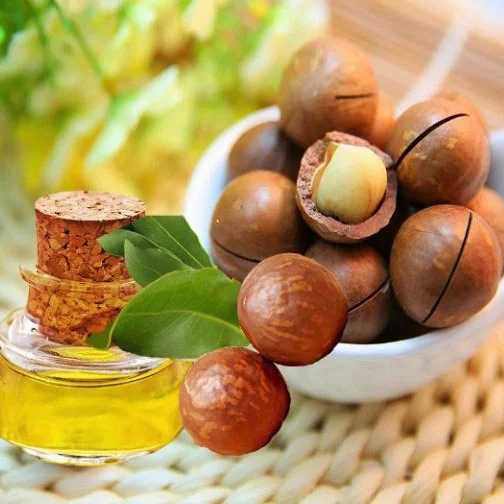 روغن ماکادمیا خالص مدل مو و پوست بیز