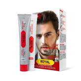 کیت رنگ مو قهوه ای متوسط مردانه رویال کد 105